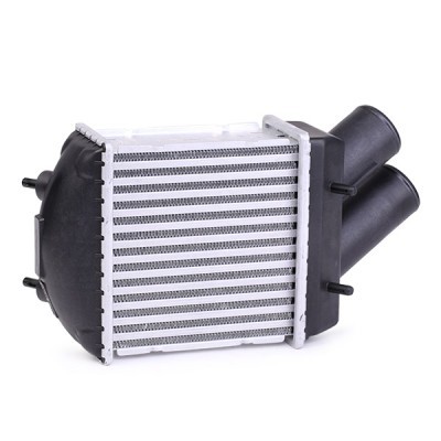 Intercooler, Charger RIDEX 468I0061 468I0061 - photo 4