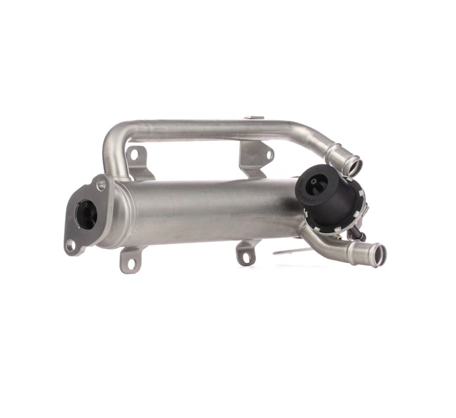 EGR Valve Stark SKEGR-0770239 SKEGR-0770239 - photo 1