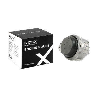 Engine Mounting RIDEX 247E0169 247E0169 - photo 2