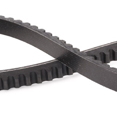 V-Belt RIDEX 10C0082P 10C0082P - photo 5