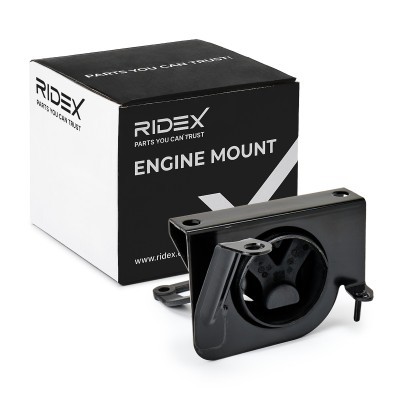 Engine Mounting RIDEX 247E0299 247E0299 - photo 2