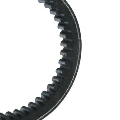 V-Belt RIDEX 10C0014 10C0014 - photo 4