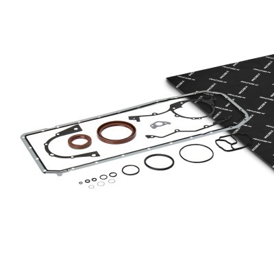 Oil Pan Gasket RIDEX 150G0016 150G0016 - photo 1
