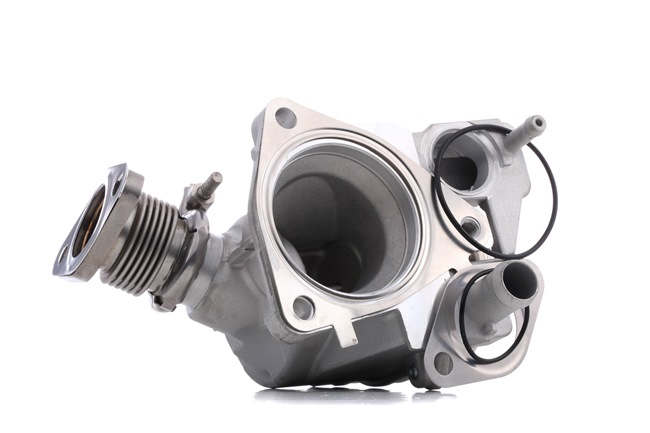 EGR Valve Stark SKEGR-0770210 SKEGR-0770210 - photo 1