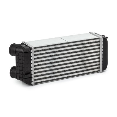 Intercooler, Charger RIDEX 468I0373 468I0373 - photo 3