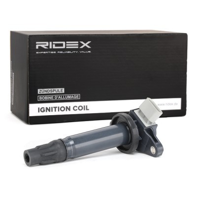Ignition Coil RIDEX 689C0114 689C0114 - photo 3