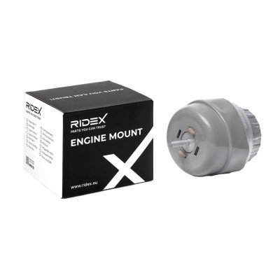 Engine Mounting RIDEX 247E0744 247E0744 - photo 2