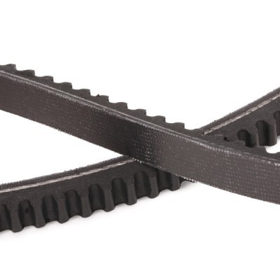 V-Belt RIDEX 10C0061P 10C0061P - photo 5