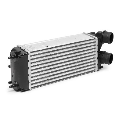 Intercooler, Charger RIDEX 468I0305 468I0305 - photo 3