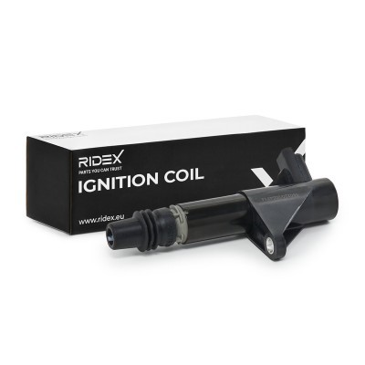 Ignition Coil RIDEX 689C0020 689C0020 - photo 2