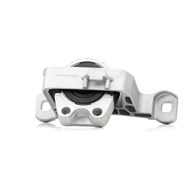 Engine Mounting RIDEX 247E0448 247E0448 - photo 1