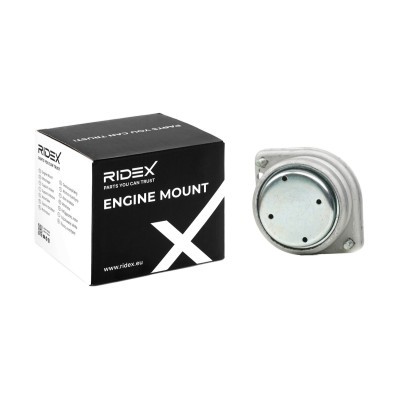 Engine Mounting RIDEX 247E0702 247E0702 - photo 2