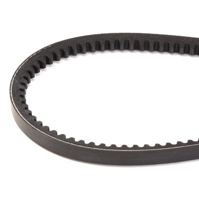 V-Belt RIDEX 10C0032 10C0032 - photo 3
