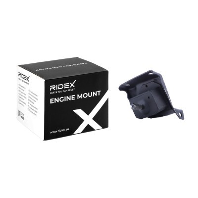 Engine Mounting RIDEX 247E0753 247E0753 - photo 2