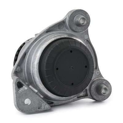 Engine Mounting RIDEX 247E1024 247E1024 - photo 4