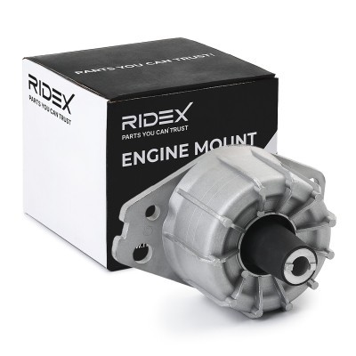 Engine Mounting RIDEX 247E0197 247E0197 - photo 2