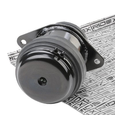 Engine Mounting RIDEX 247E0032 247E0032 - photo 2