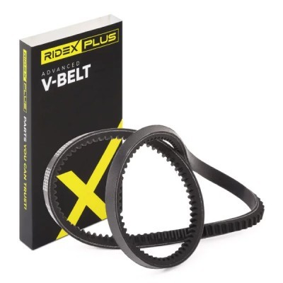 V-Belt RIDEX 10C0061P 10C0061P - photo 2