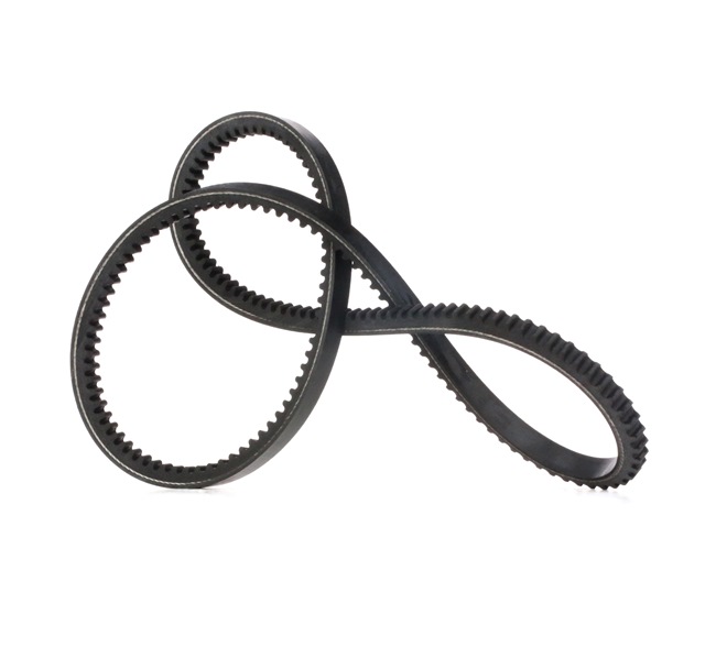 V-Belt RIDEX 10C0029 10C0029 - photo 1