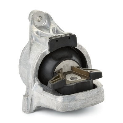 Engine Mounting RIDEX 247E0670 247E0670 - photo 3