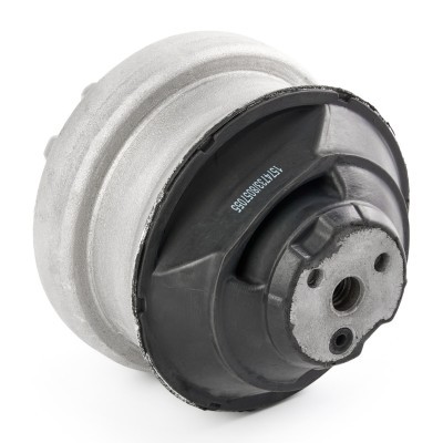 Engine Mounting RIDEX 247E0010 247E0010 - photo 4