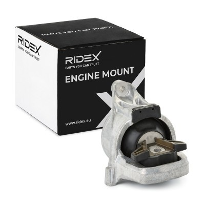 Engine Mounting RIDEX 247E0670 247E0670 - photo 2