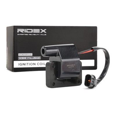 Ignition Coil RIDEX 689C0139 689C0139 - photo 3