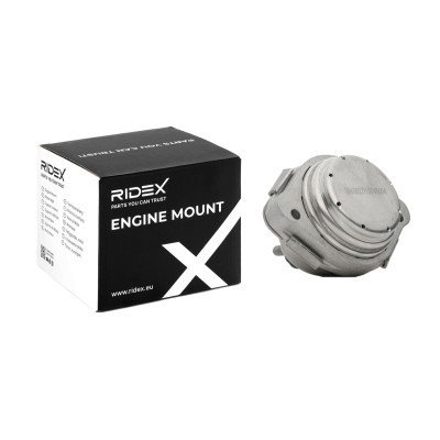 Engine Mounting RIDEX 247E0440 247E0440 - photo 2