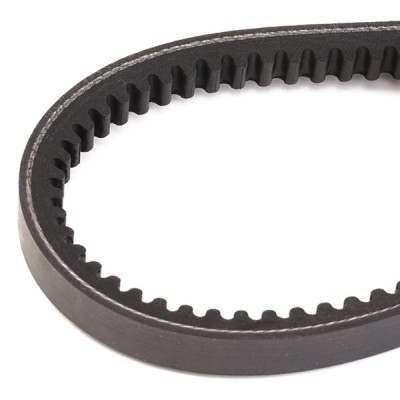 V-Belt RIDEX 10C0033 10C0033 - photo 3