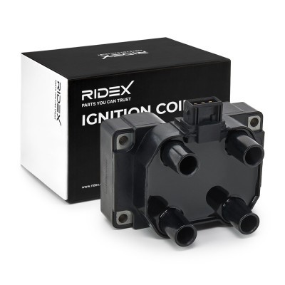 Ignition Coil RIDEX 689C0053 689C0053 - photo 2