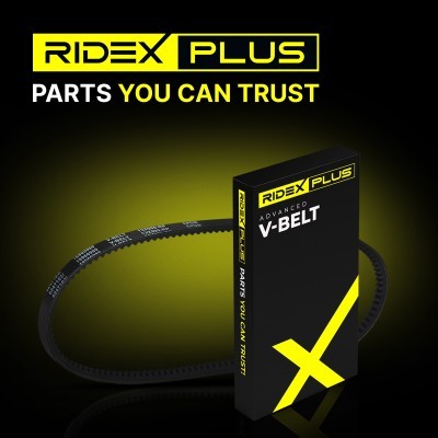 V-Belt RIDEX 10C0028P 10C0028P - photo 12