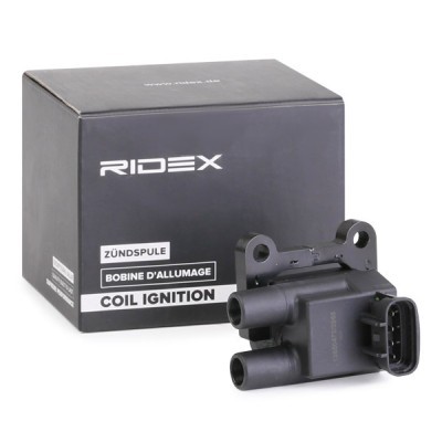 Ignition Coil RIDEX 689C0330 689C0330 - photo 2
