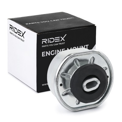 Engine Mounting RIDEX 247E0310 247E0310 - photo 2