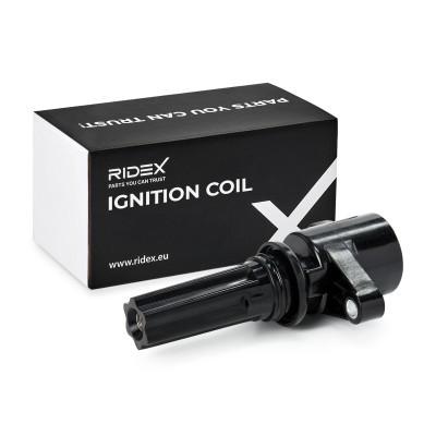 Ignition Coil RIDEX 689C0056 689C0056 - photo 2