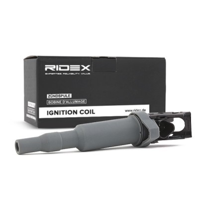 Ignition Coil RIDEX 689C0029 689C0029 - photo 3