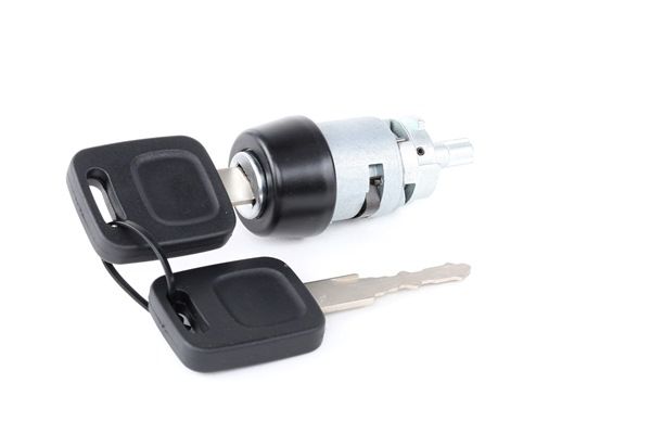 Door Lock RIDEX 1378L0016 1378L0016 - photo 1