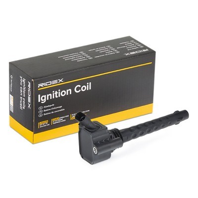 Ignition Coil RIDEX 689C0220 689C0220 - photo 2