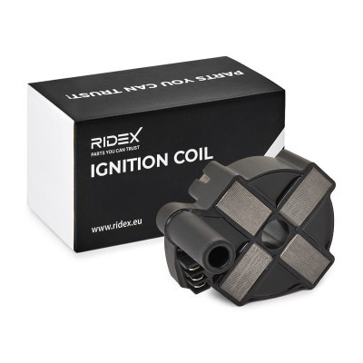 Ignition Coil RIDEX 689C0143 689C0143 - photo 2