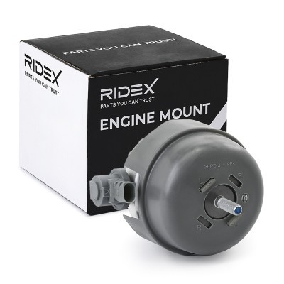 Engine Mounting RIDEX 247E0393 247E0393 - photo 2