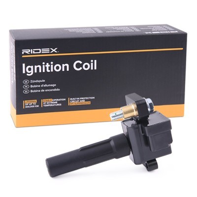 Ignition Coil RIDEX 689C0385 689C0385 - photo 2