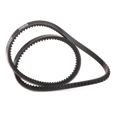 V-Belt RIDEX 10C0010P 10C0010P - photo 3