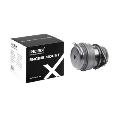 Engine Mounting RIDEX 247E0201 247E0201 - photo 2