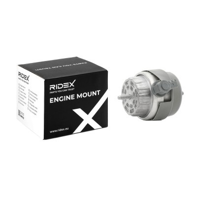 Engine Mounting RIDEX 247E0270 247E0270 - photo 2