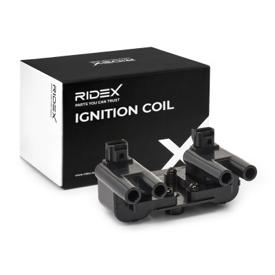 Ignition Coil RIDEX 689C0093 689C0093 - photo 2