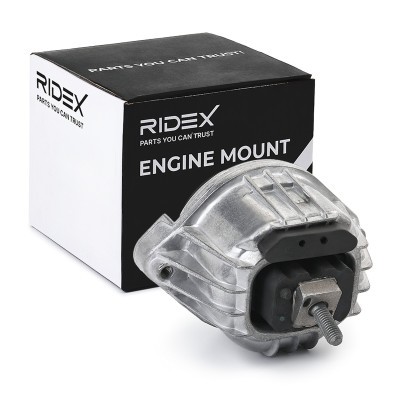 Engine Mounting RIDEX 247E0766 247E0766 - photo 2