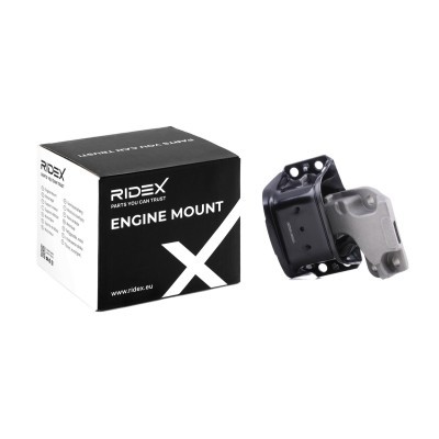 Engine Mounting RIDEX 247E0996 247E0996 - photo 2
