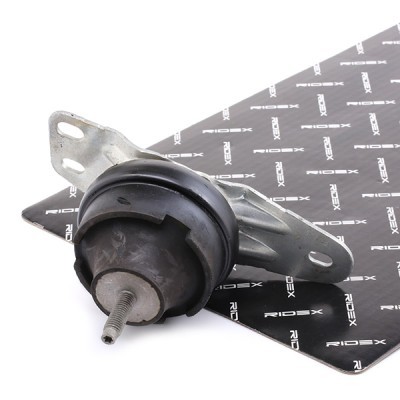 Engine Mounting RIDEX 247E0494 247E0494 - photo 2