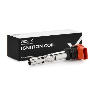 Ignition Coil RIDEX 689C0025 689C0025 - photo 2