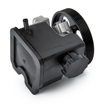 Hydraulic Pump, Steering System RIDEX 12H0067 12H0067 - photo 4