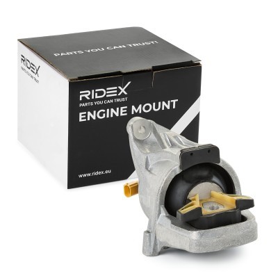 Engine Mounting RIDEX 247E0493 247E0493 - photo 2
